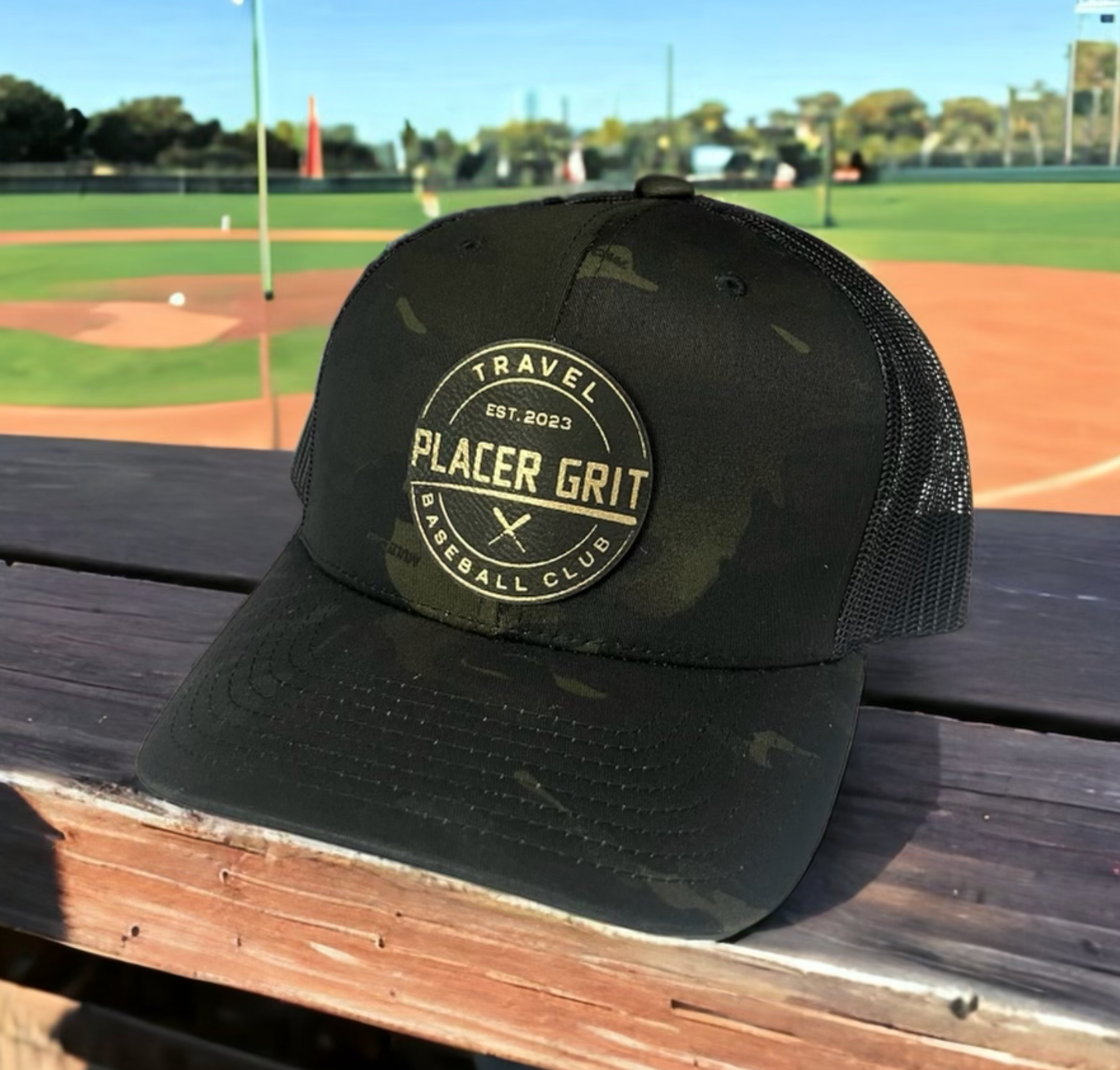 Placer Grit Baseball Fundraiser