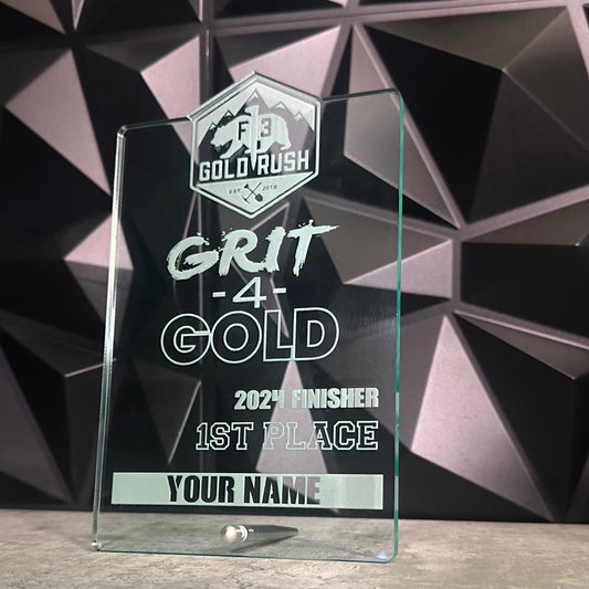 Custom Acrylic Logo Awards with Standoff hardware